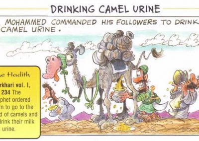 Camel-urine-islam-muhammad.262181507_large