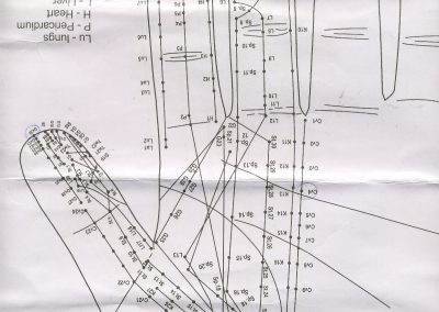 Left_hand_front_side_std_corr_meridian.252174403_large