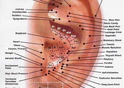 physical-body-ear-chart.248192919_large