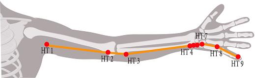 Heart Meridian Chart