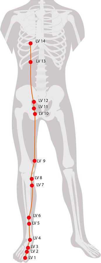 Healing Of Meridian Points Munots