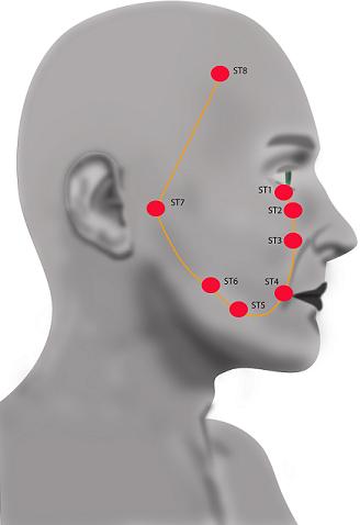 Acupuncture Motor Points Chart