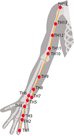 Triple Heater Meridian Chart